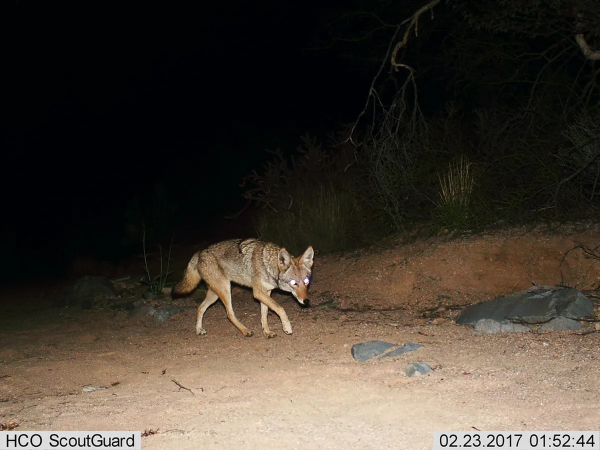 Perfect Latrán District Walking Itinerary: 1 Day Guide