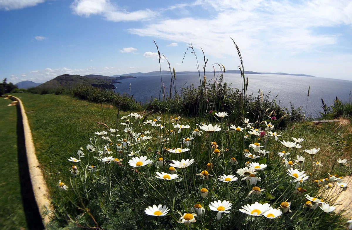 Visit the Meditation Garden Plzeň Victims Monument