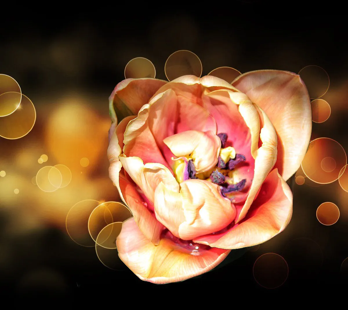 Walking Tour of Plzeň Historical Centre: 2-Day Guide